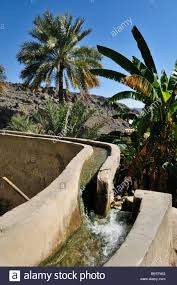 stock-photo-traditional-falaj-canal-irrigation-system-at-mountain-oasis-of-wadi-25944844